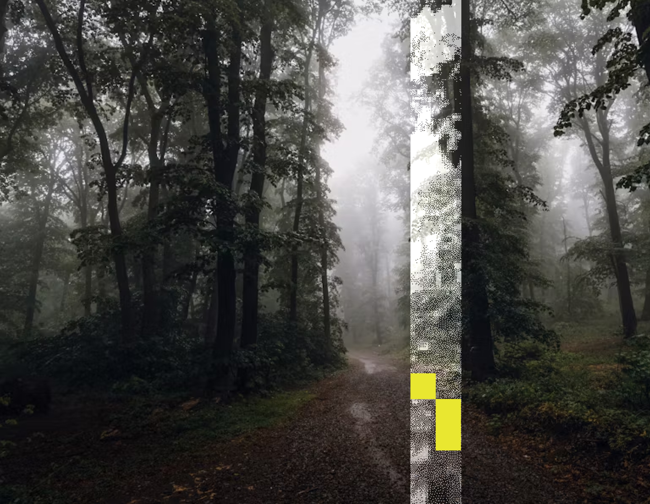 Pixelated forest texture